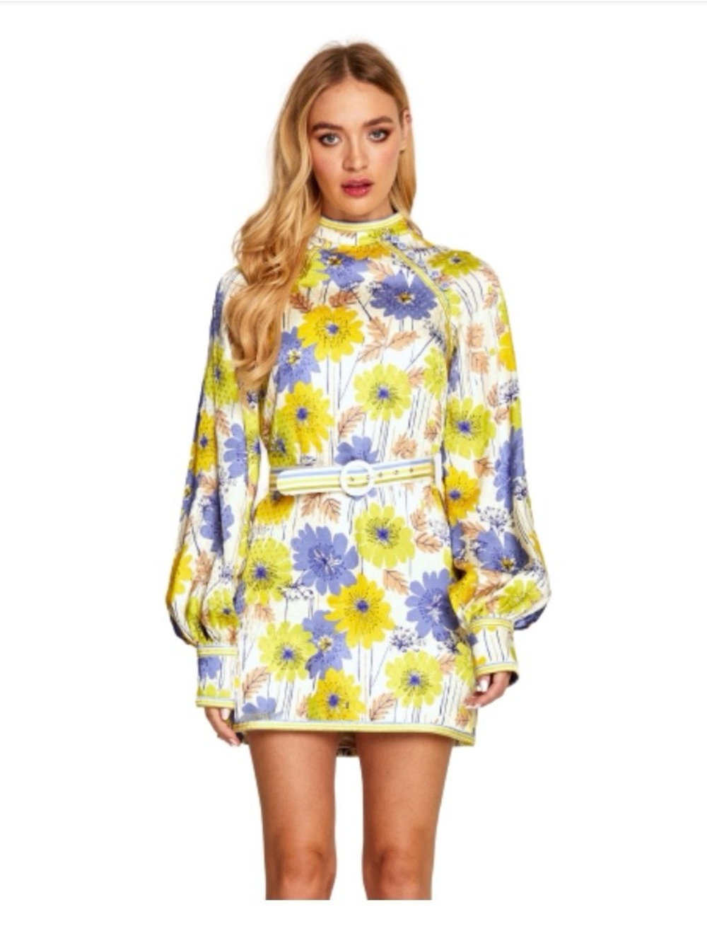 Alice McCall Floral Dream Mini Dress NWT US 4 Retro Floral